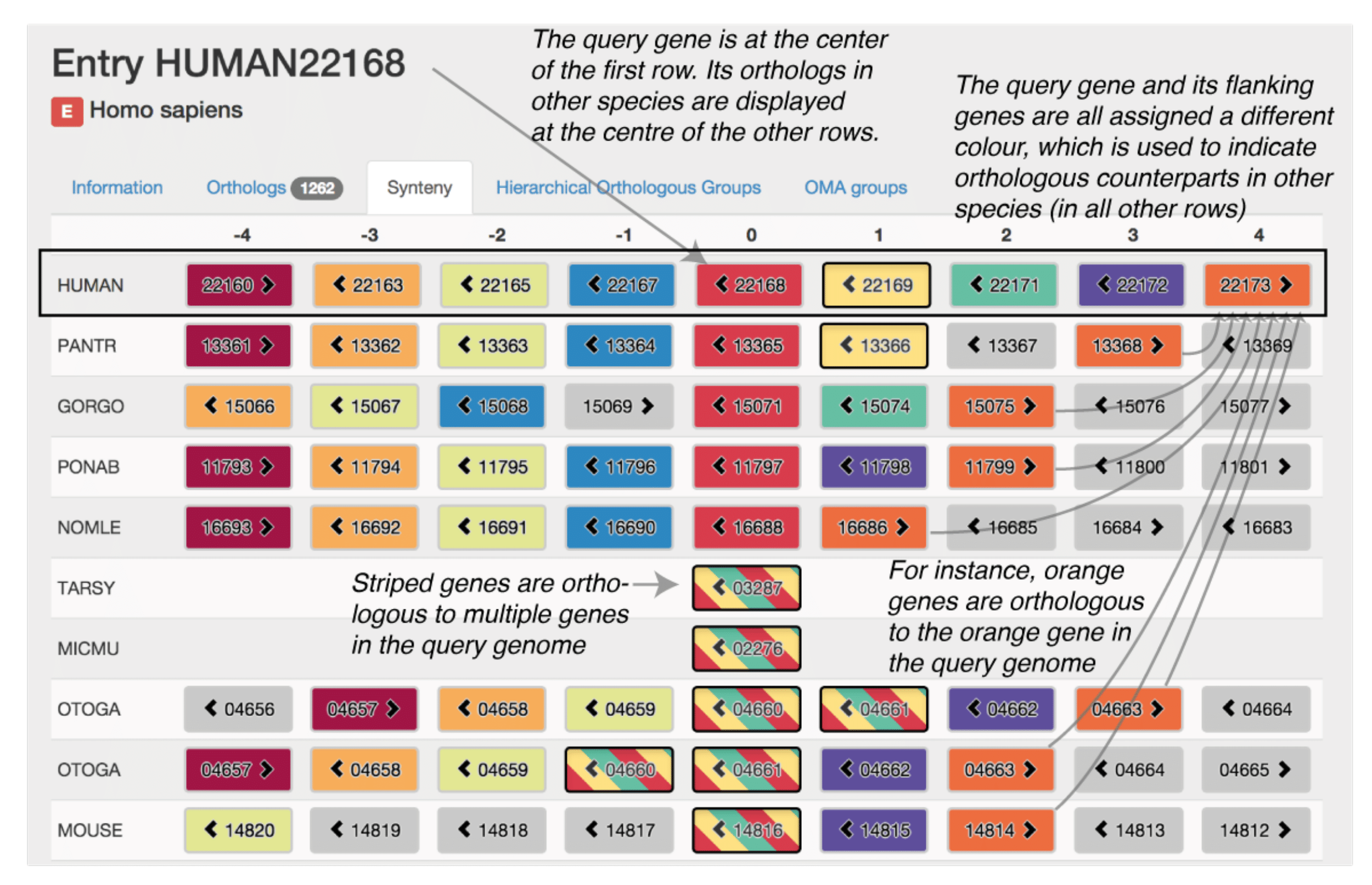 Graph showing growth of OMA over time.