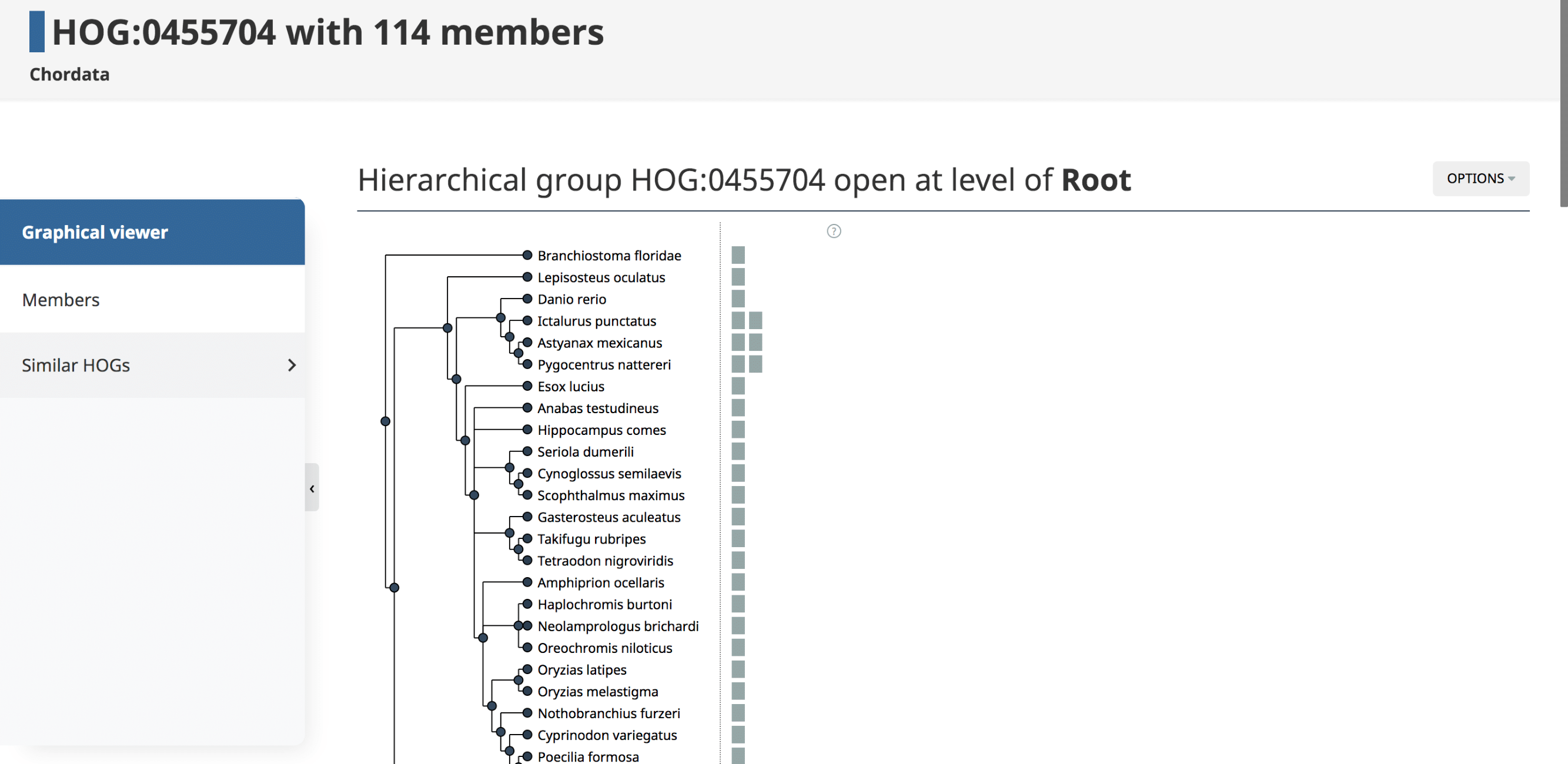 Graph showing growth of OMA over time.
