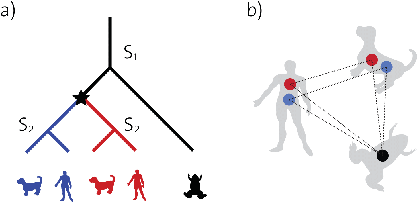 Simple evolutionary scenario